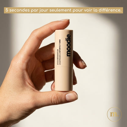 Stick Expert Réparateur