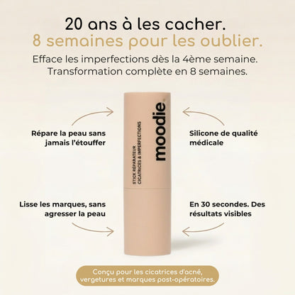 Stick Expert Réparateur
